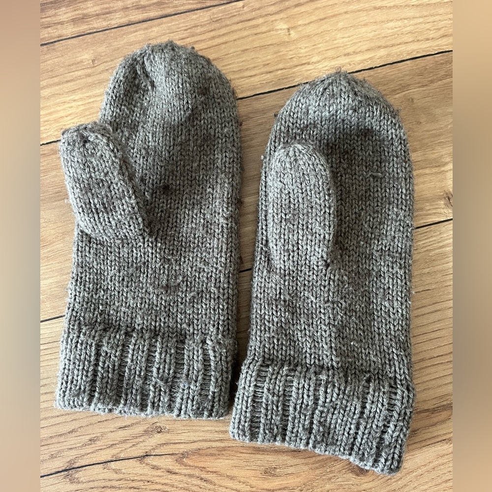 TNA Aritzia Cozy Gray Knit Mittens